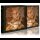 CHALICE- Trembling Crown LIM.SLIPCASE CD
