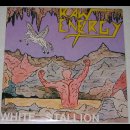 RAW ENERGY- Within Stallion US METAL RARITY orig. VINYL LP still sealed!!