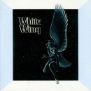 WHITE WING- same